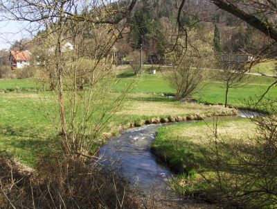 Mäanderförmiger Verlauf der Steinach.